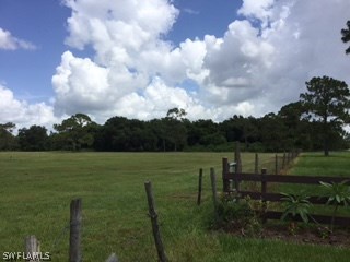 19191 Parkinson Road Alva, FL 33920 - Photo 2 of 5 a view of a lake with green space