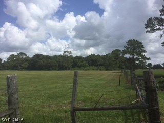 19191 Parkinson Road Alva, FL 33920 - Photo 4 of 5 a view of a lake from a yard