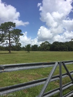 19191 Parkinson Road Alva, FL 33920 - Photo 5 of 5 a view of trees in the background