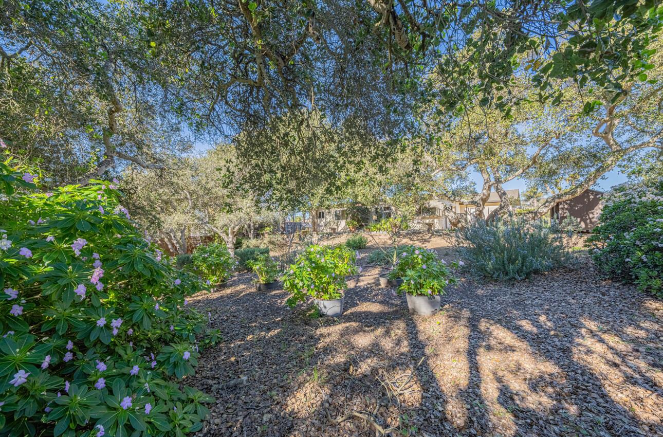 9525 South Century Oak Road Salinas, CA 93907 - Photo 34 of 37 a big yard with flowing stream of water in middle