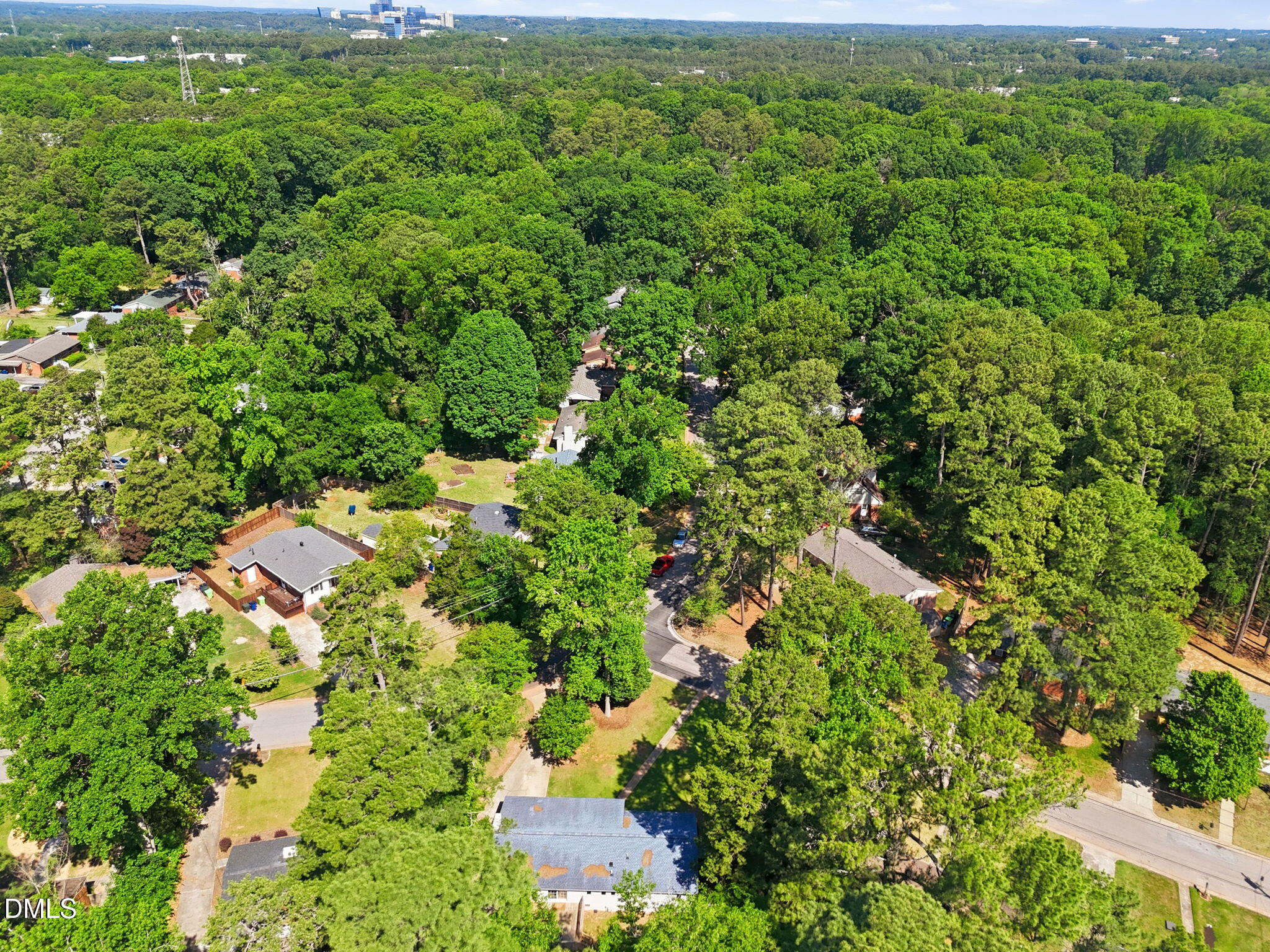 2950 Glenridge Drive Raleigh, NC 27604 - Photo 47 of 53 a view of a lush green forest with lots of trees