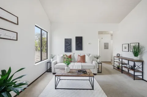 a living room with furniture potted plant and windows