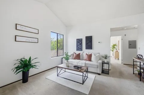a living room with furniture and a potted plant