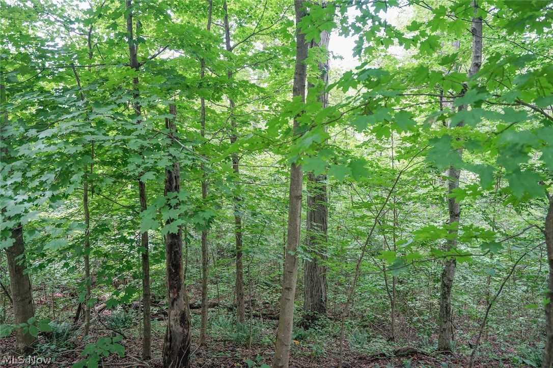 Dyes Ridge Road New Matamoras, OH 45767 - Photo 13 of 19 Gallery Image 13