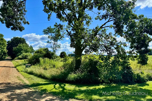 $144,900 | Vl Gibson Farms Drive, Unit PARCEL 9, Middleville, MI 49333