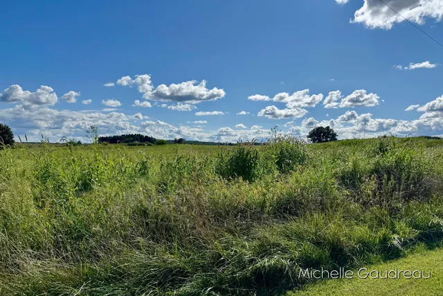 $144,900 | Vl Gibson Farms Drive, Unit PARCEL 9, Middleville, MI 49333