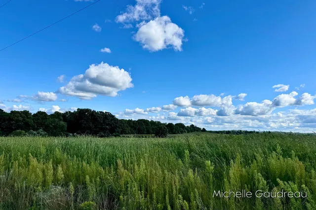 $144,900 | Vl Gibson Farms Drive, Unit PARCEL 9, Middleville, MI 49333