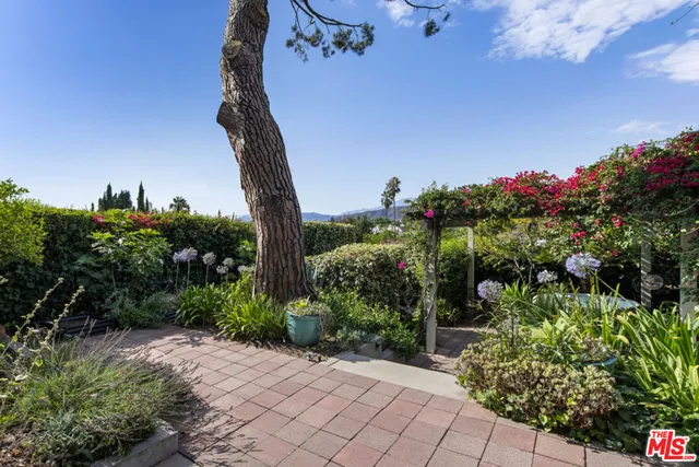 a picture of flowers