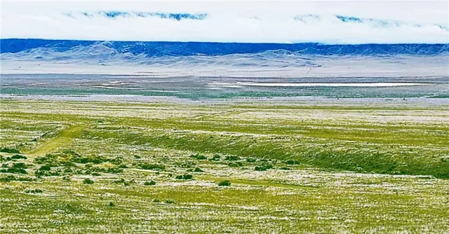 a view of a lawn with an ocean