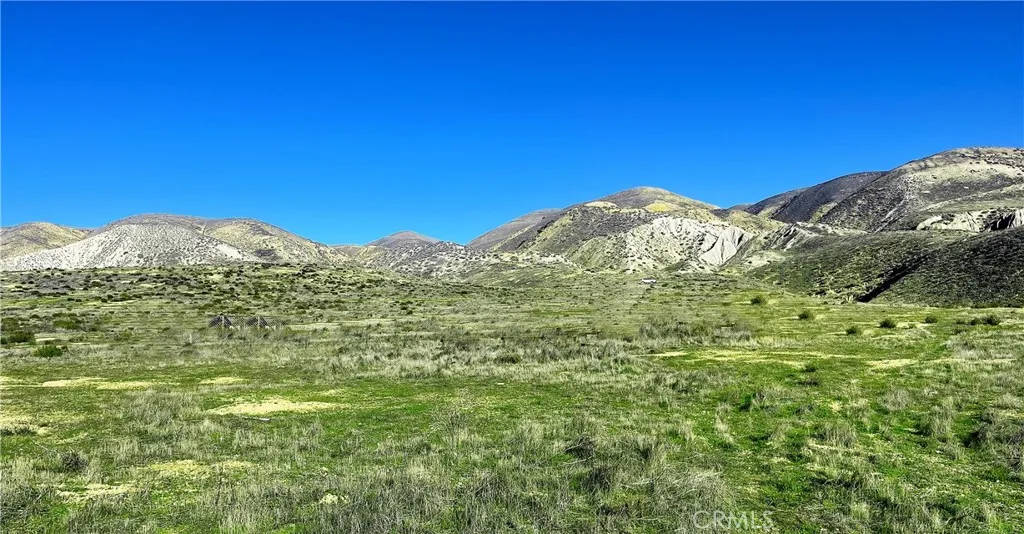 13344 Alturas (alexandra) Roma, TX 78584 - Photo 5 of 6 a view of a large mountain with trees in the background