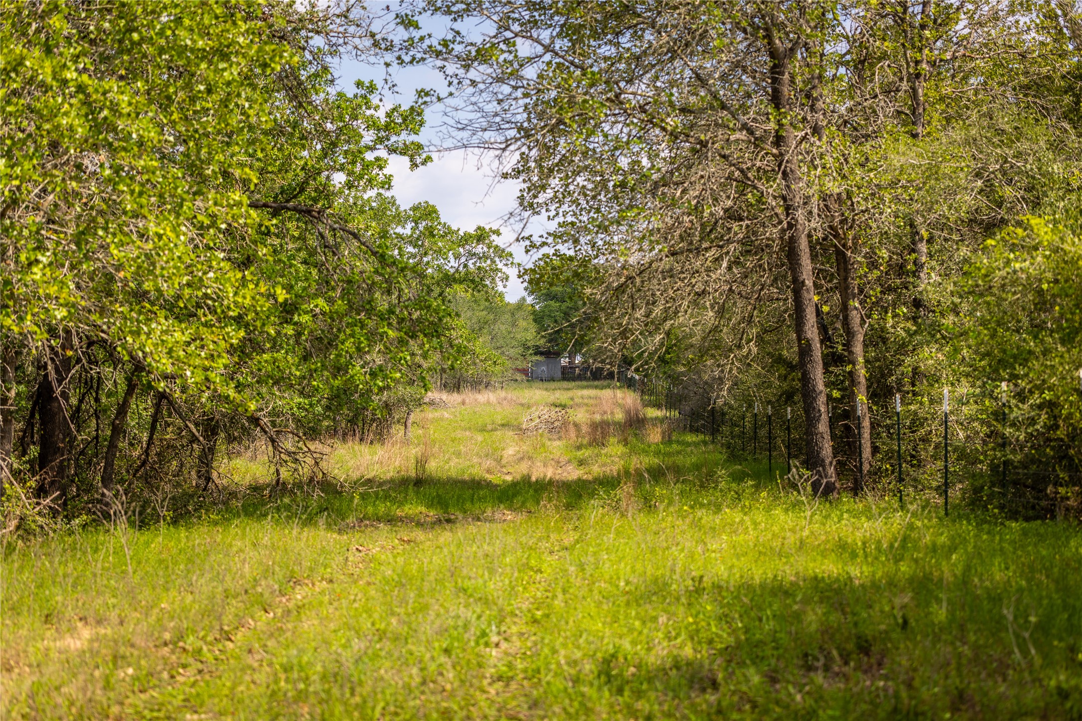 4082 Old Colony Line Road Lockhart, TX 78644 - Photo 20 of 40 A tranquil, tree-lined path leads to a rustic outbuilding, offering a peaceful rural escape.