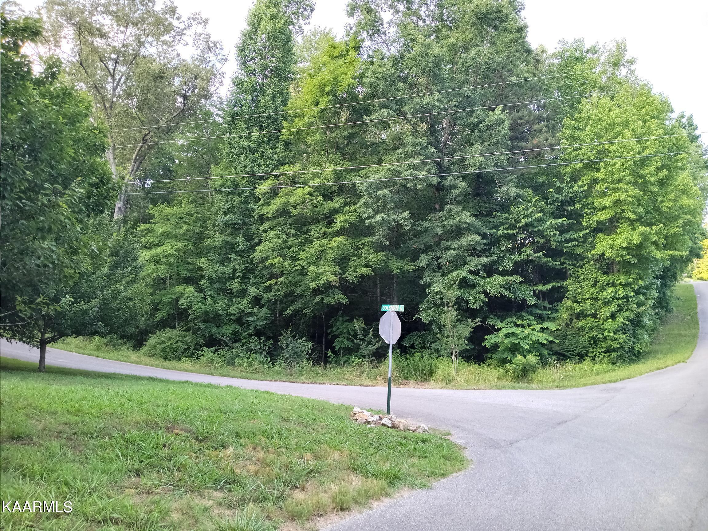 Edgewood Drive Powell, TN 37849 - Photo 1 of 4 Edgewood Dr. Lot 77 (1)