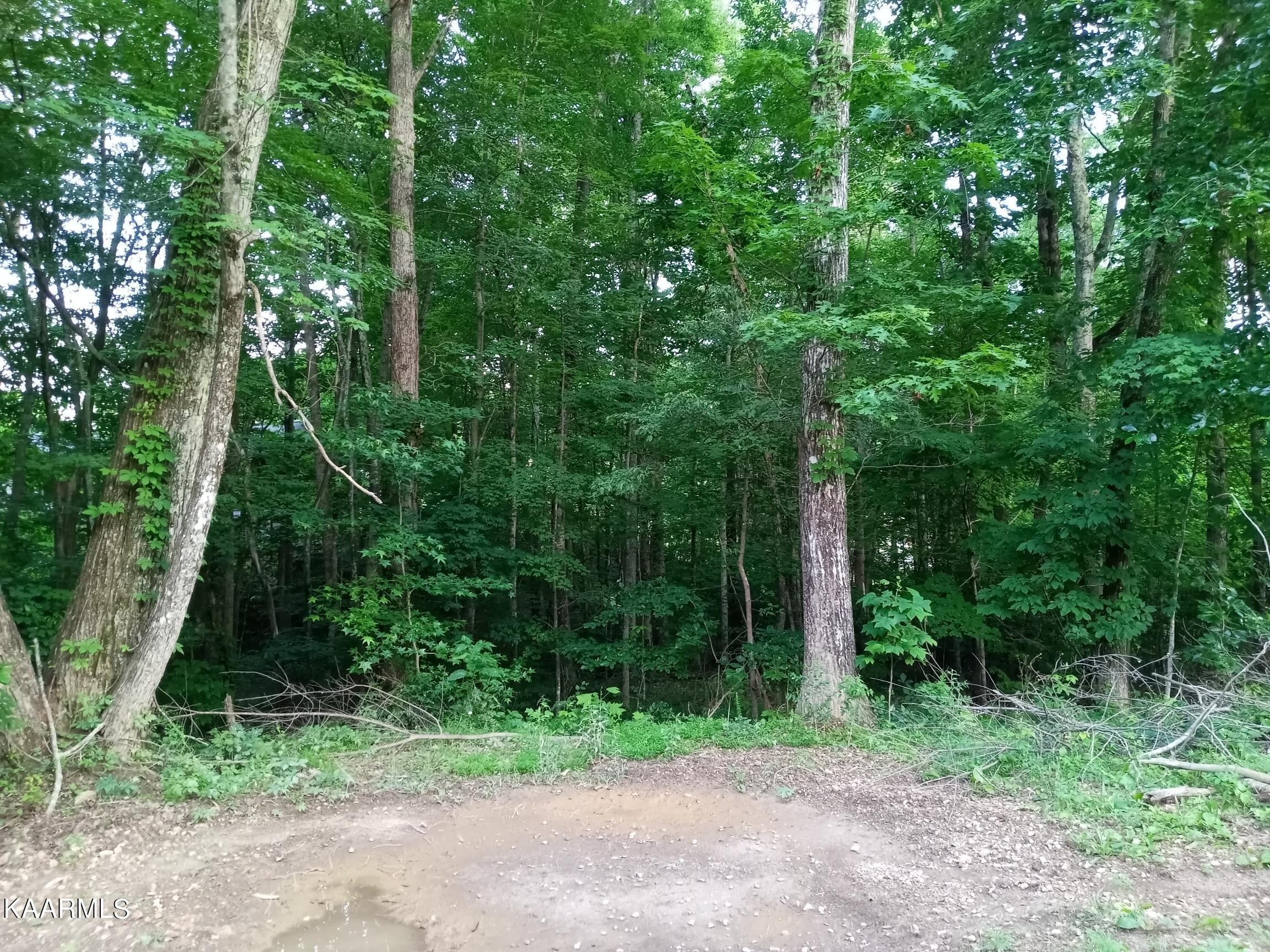 Edgewood Drive Powell, TN 37849 - Photo 2 of 4 Edgewood Dr. Lot 77 (2)
