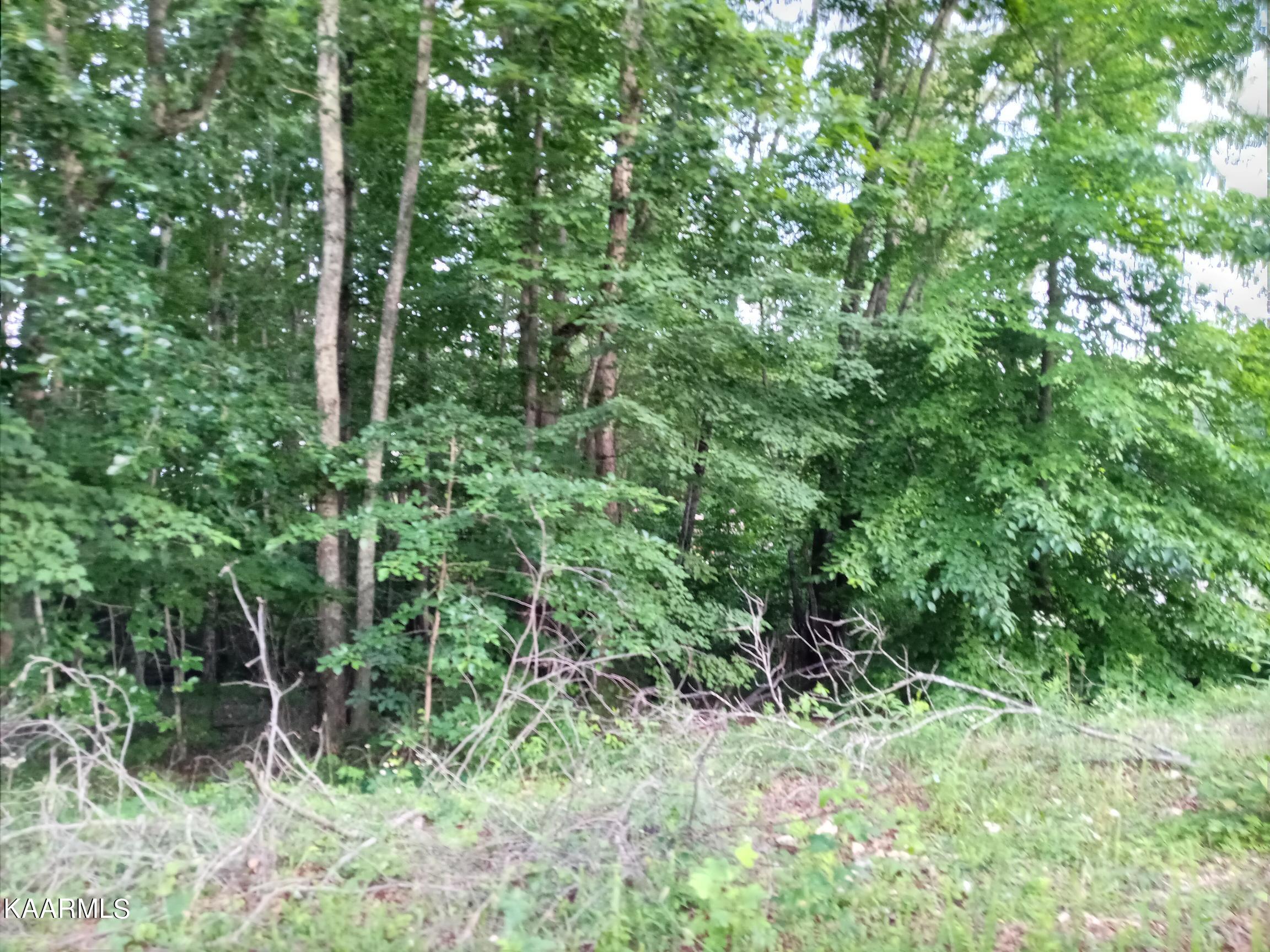 Edgewood Drive Powell, TN 37849 - Photo 3 of 4 Edgewood Dr. Lot 77 (3)