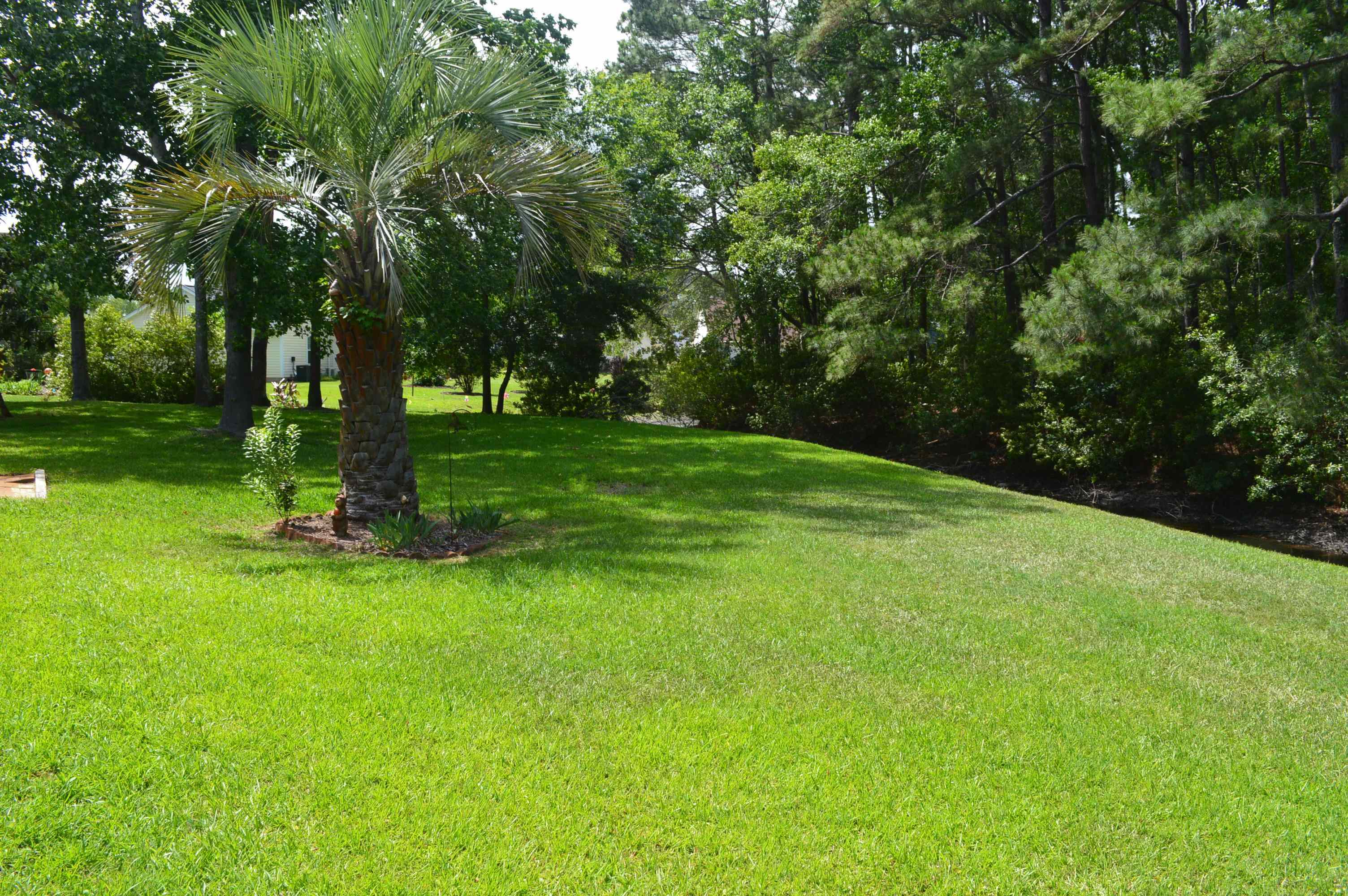 1905 Starling Court Murrells Inlet, SC 29576 - Photo 30 of 31