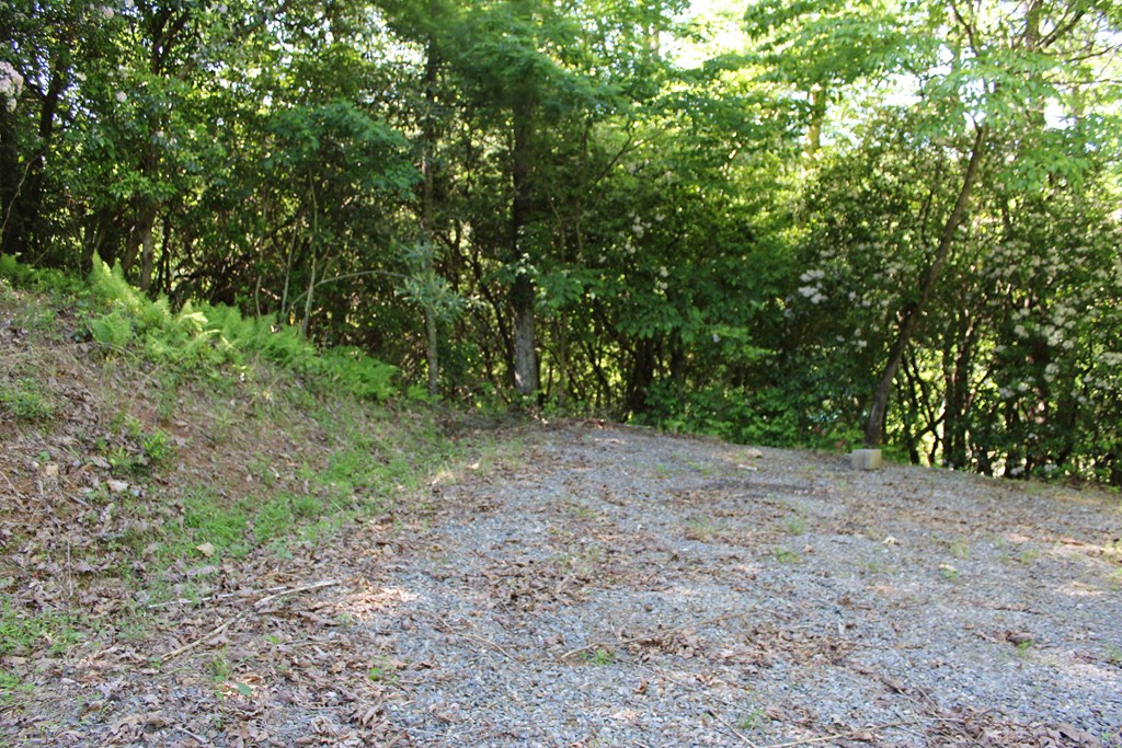 1002 Flat Gap Road Hiawassee, GA 30546 - Photo 38 of 40 Gallery Image 38