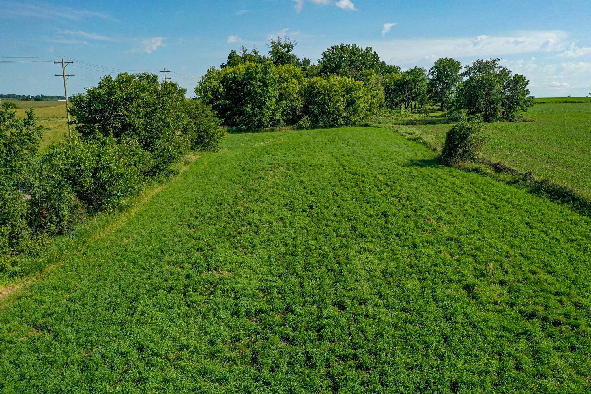 8482 North Afolkey Road Dakota, IL 61018 - Photo 44 of 55 Gallery Image 44