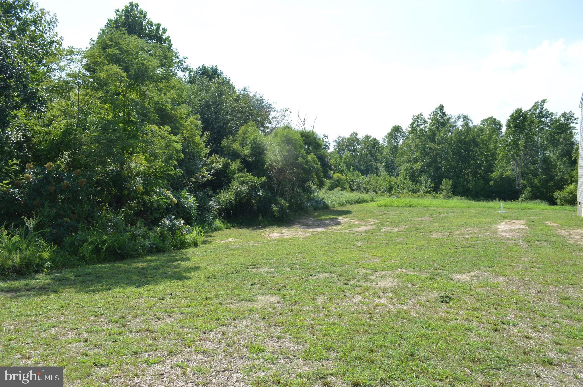 342 New S Ridge Road Bumpass, VA 23024 - Photo 30 of 35