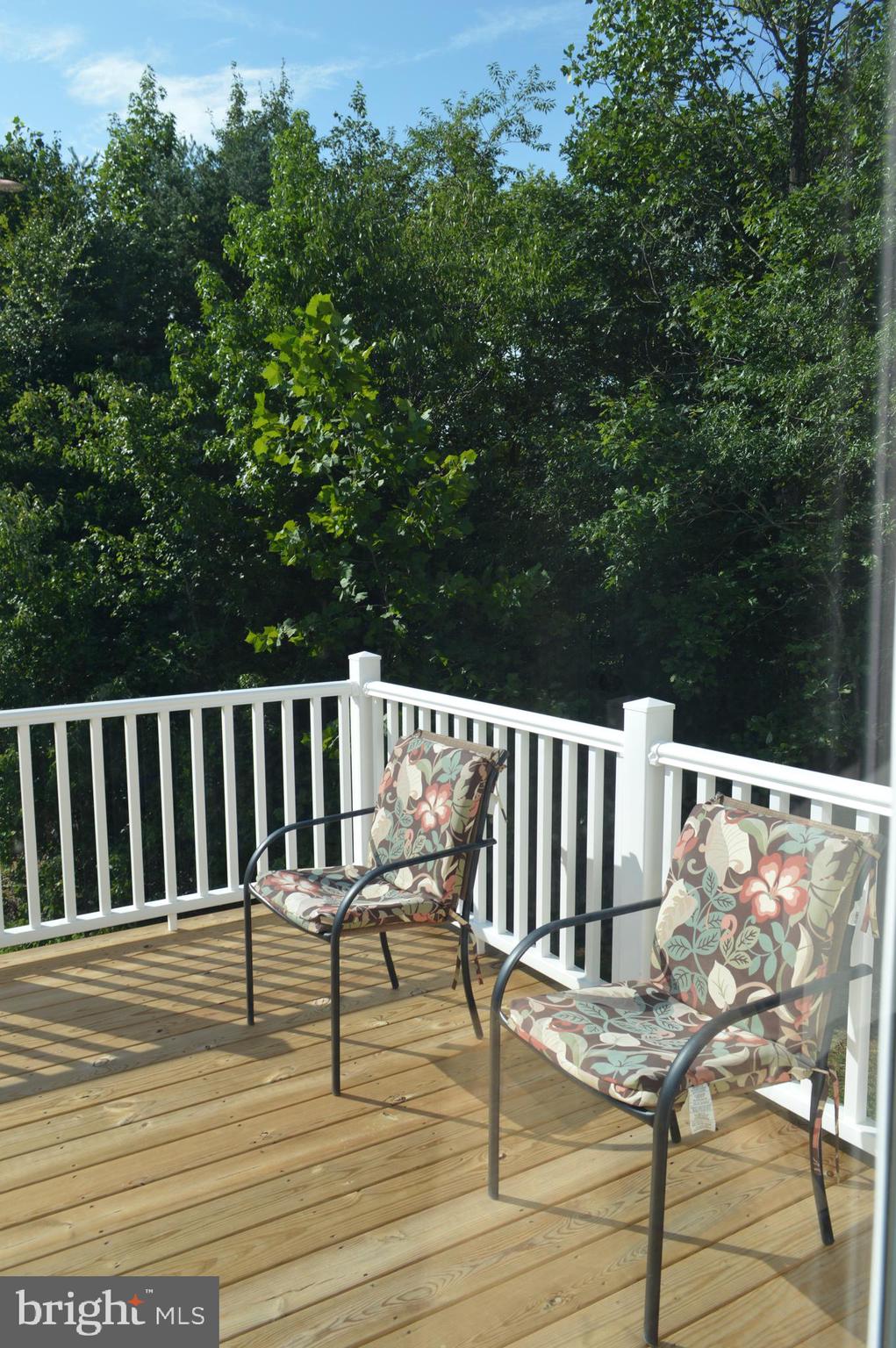 342 New S Ridge Road Bumpass, VA 23024 - Photo 33 of 35