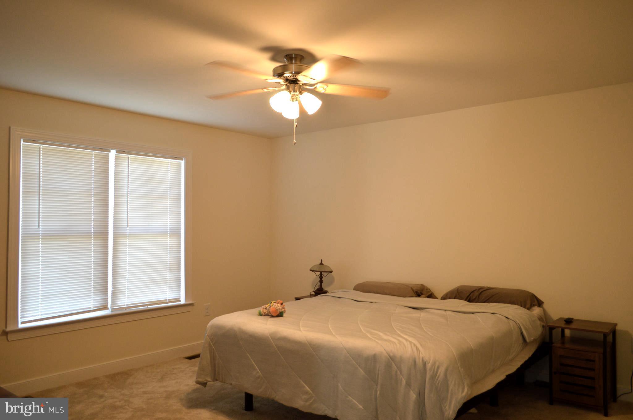342 New S Ridge Road Bumpass, VA 23024 - Photo 6 of 35 Spacious Master Bedroom
