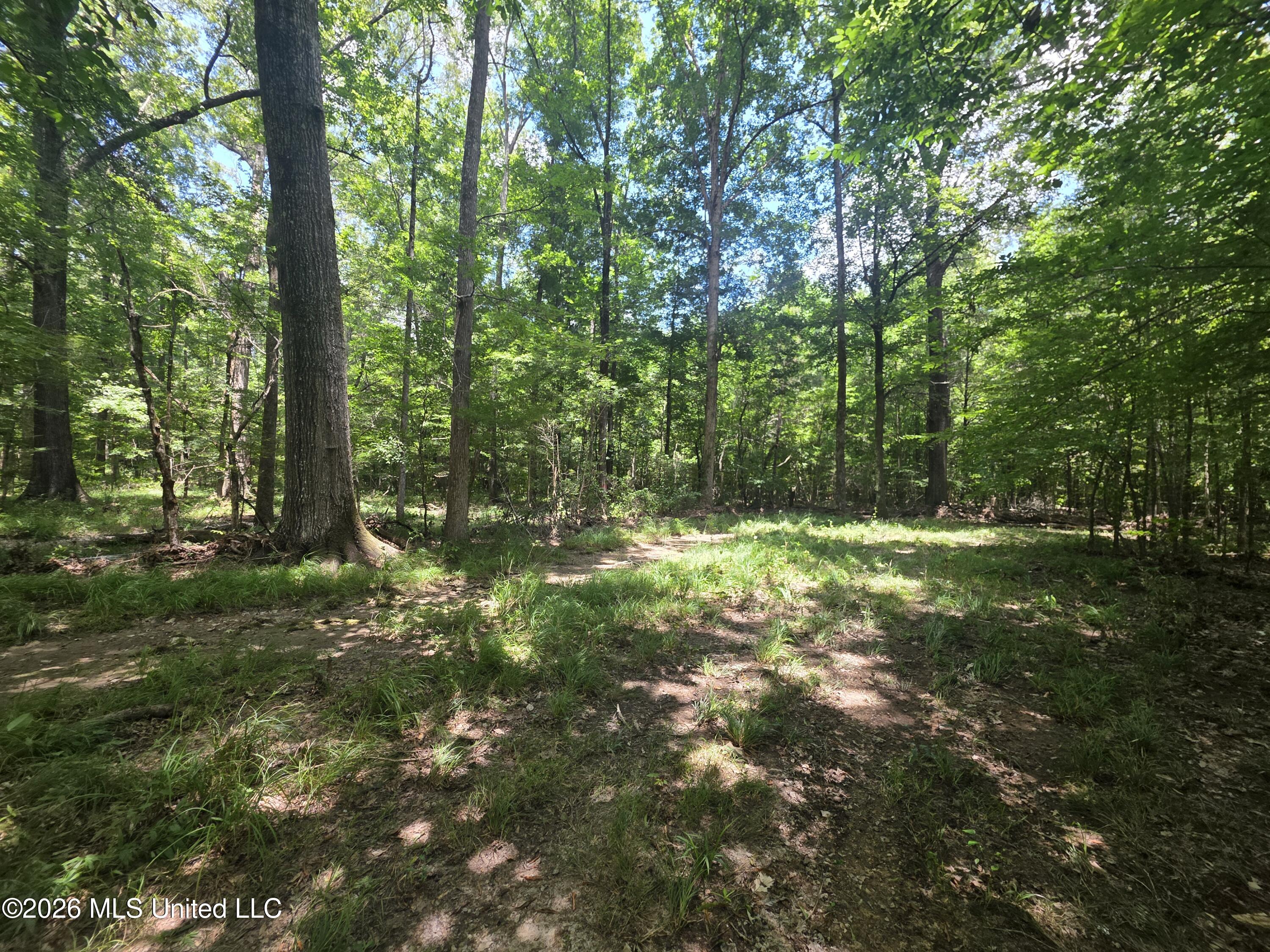 538 East Scrd Morton, MS 39117 - Photo 23 of 30 37127