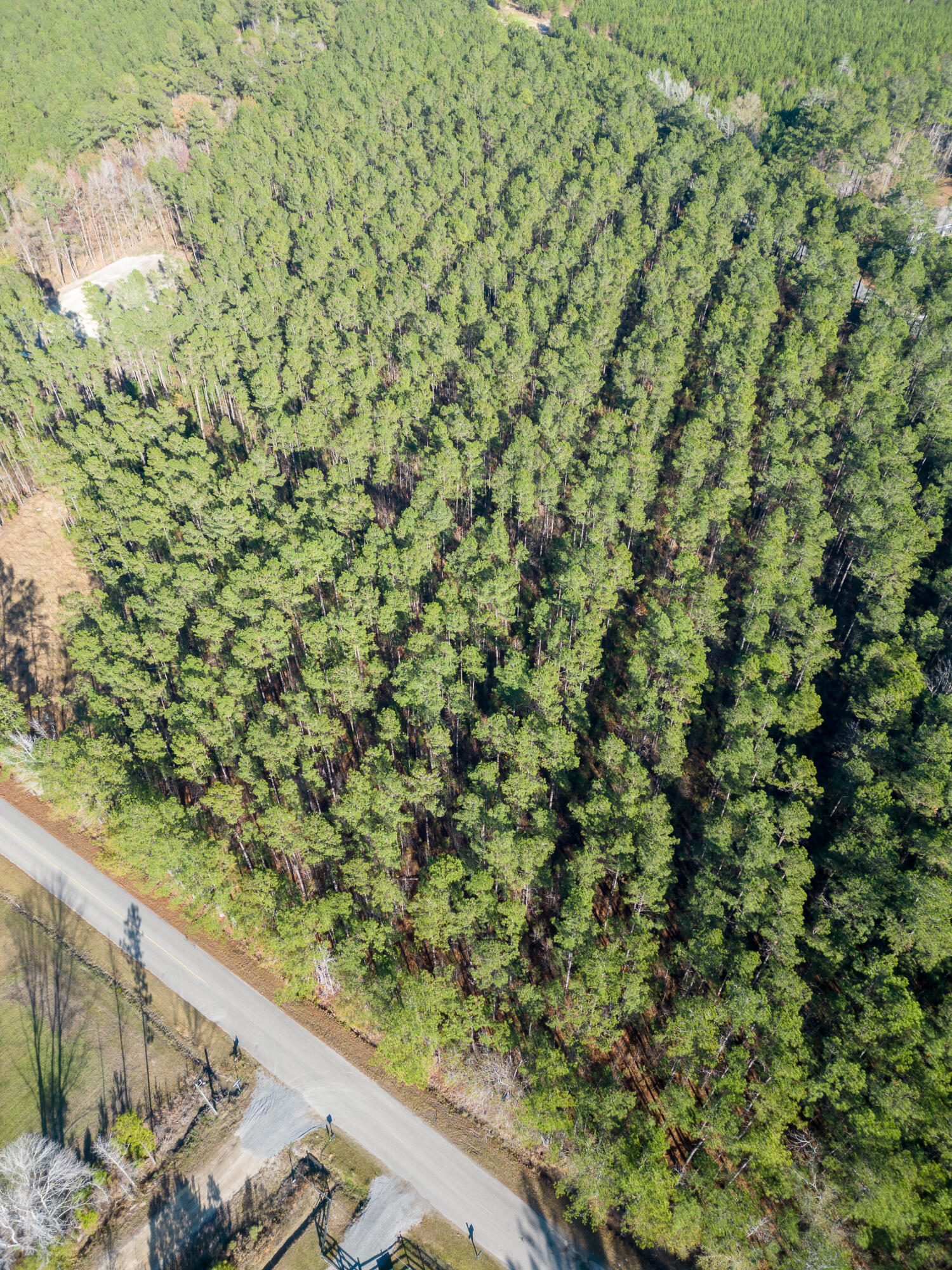 0 Saab Drive, Unit 6 Ridgeville, SC 29472 - Photo 5 of 9 DJI_0137