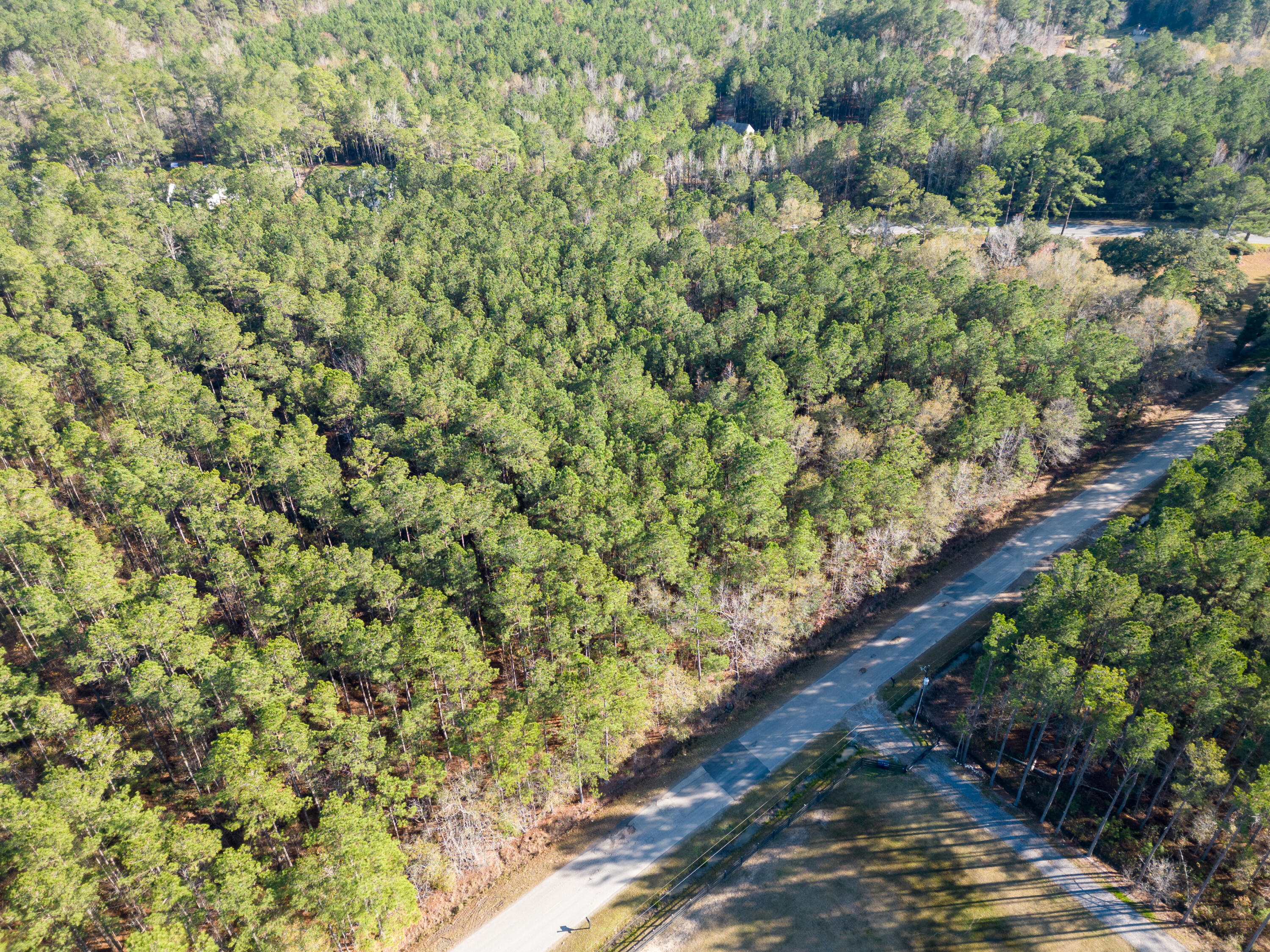 0 Saab Drive, Unit 6 Ridgeville, SC 29472 - Photo 8 of 9 DJI_0128