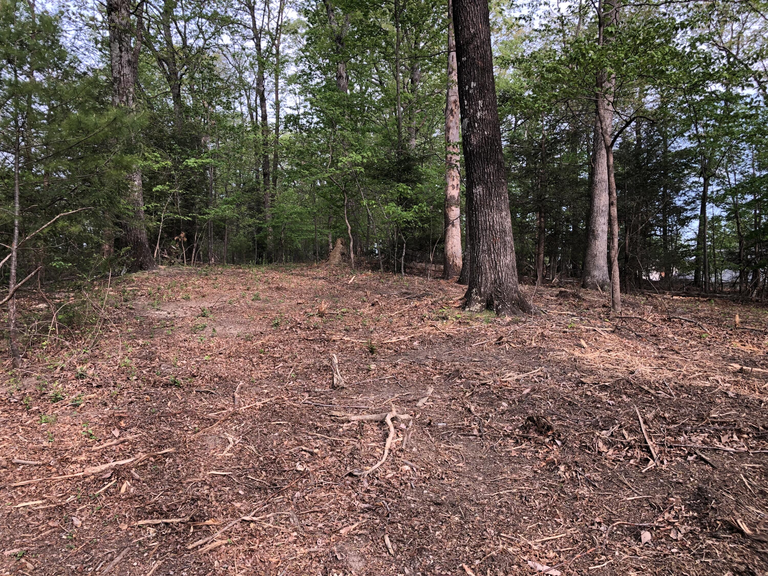 a view of outdoor space with trees