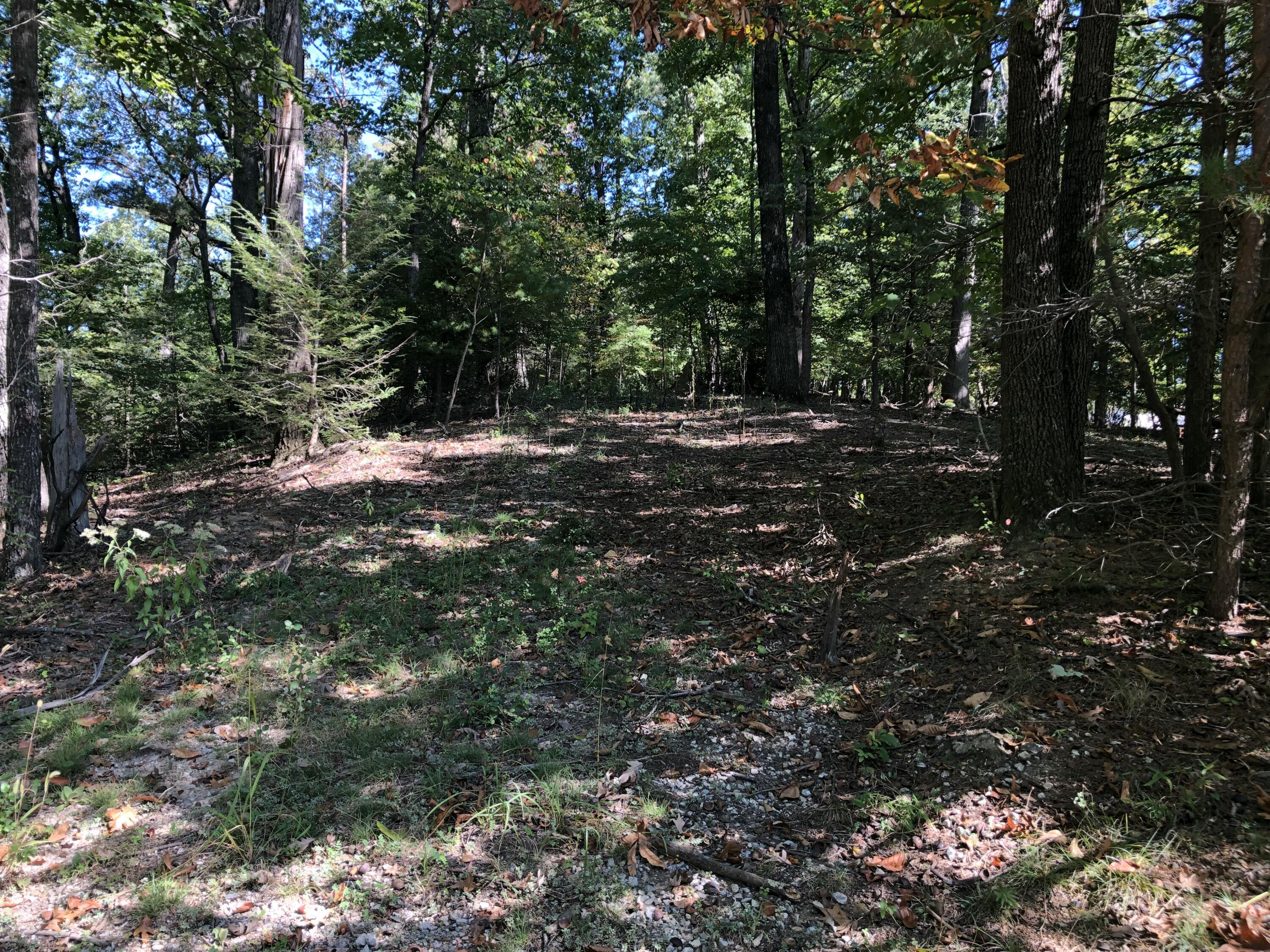 3287 Green Ridge Road Roanoke, VA 24019 - Photo 12 of 17 a view of outdoor space and yard