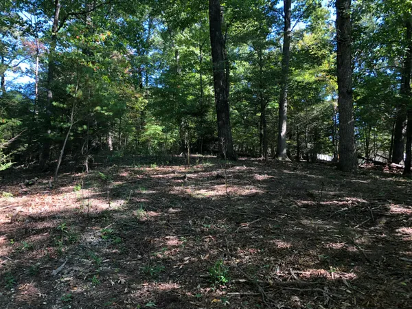 a view of outdoor space with trees