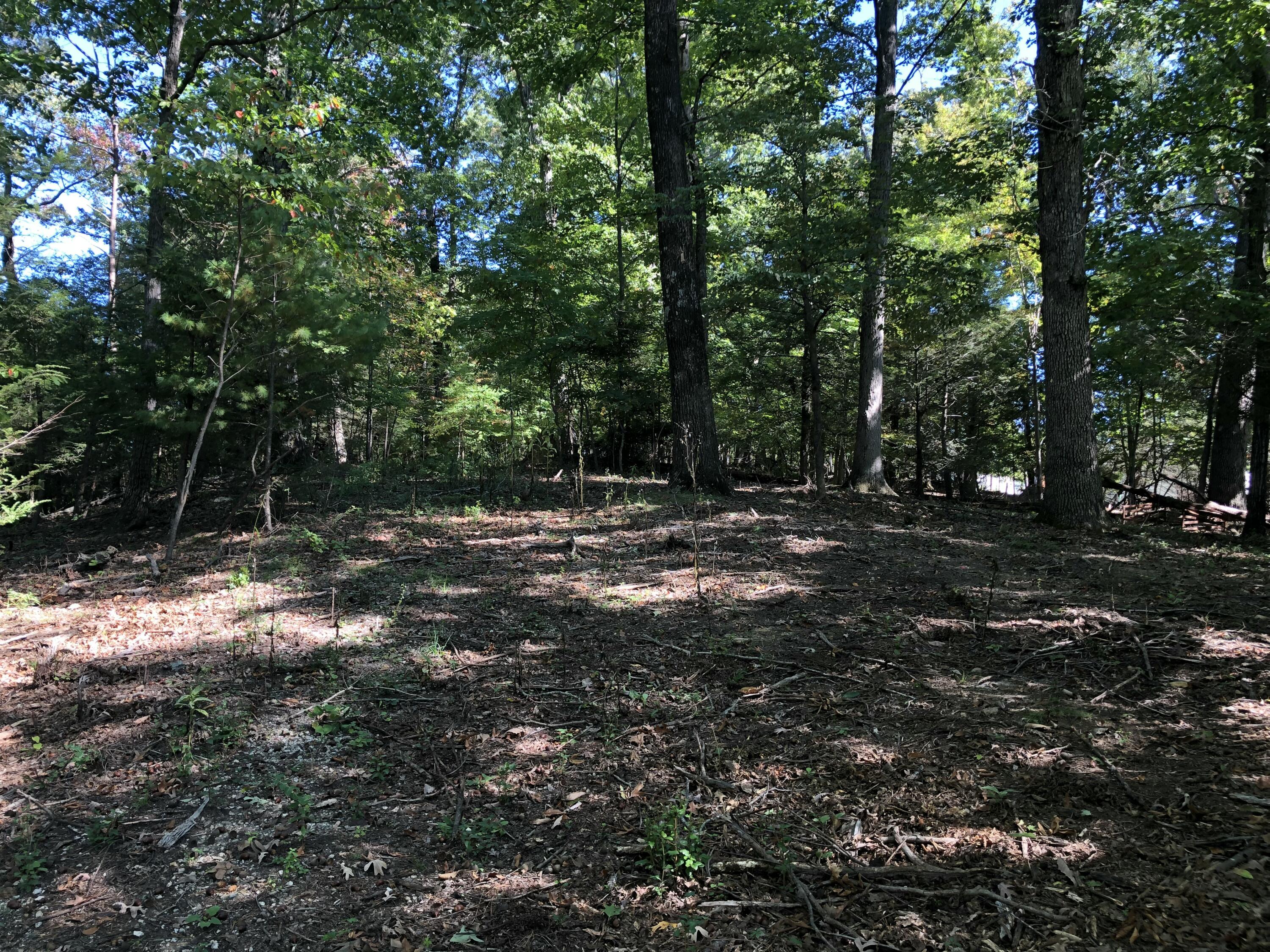 3287 Green Ridge Road Roanoke, VA 24019 - Photo 13 of 17 a view of outdoor space with trees