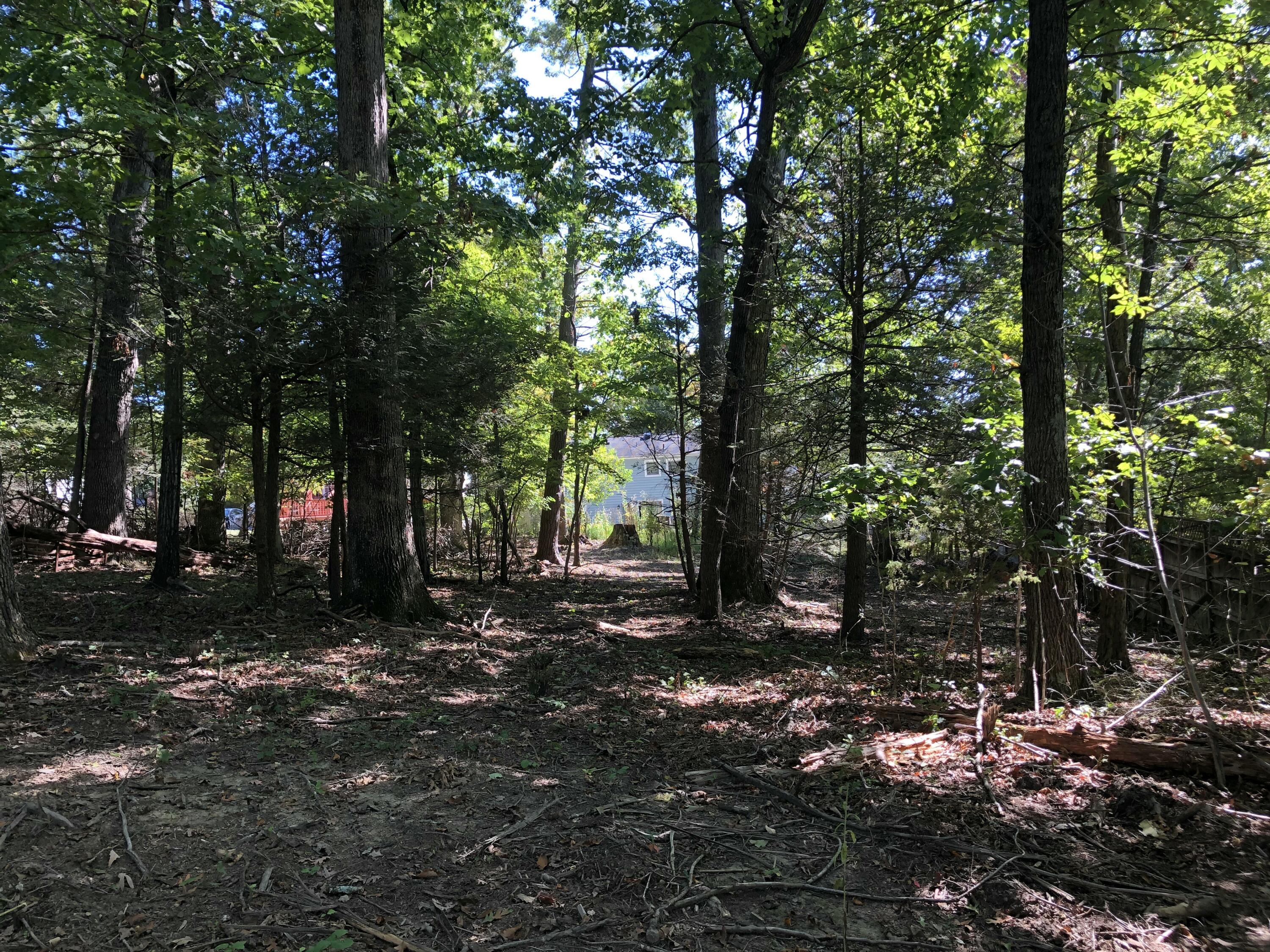 3287 Green Ridge Road Roanoke, VA 24019 - Photo 14 of 17 a view of a tree in a yard