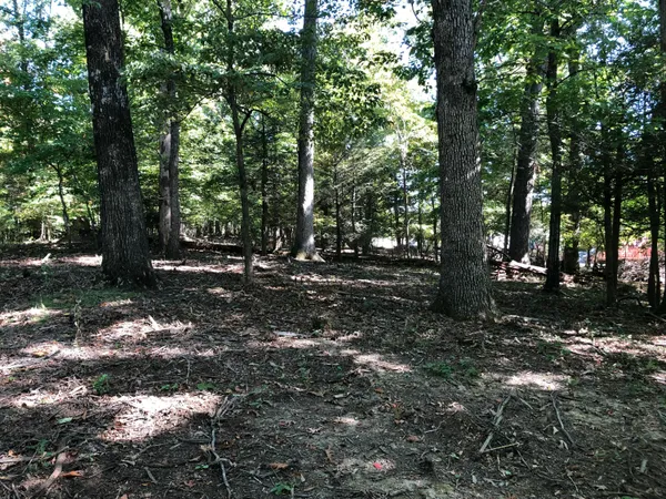 a view of outdoor space with trees