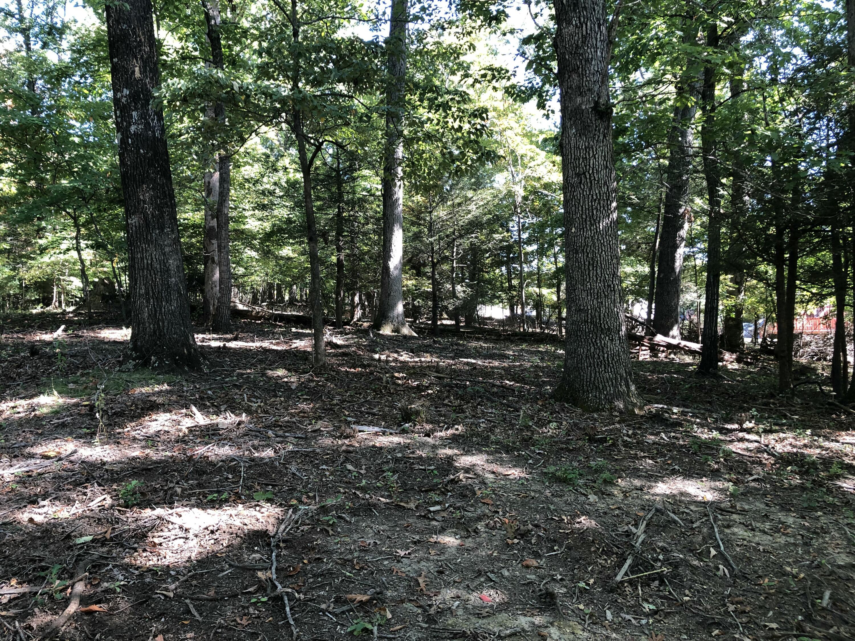 3287 Green Ridge Road Roanoke, VA 24019 - Photo 15 of 17 a view of outdoor space with trees