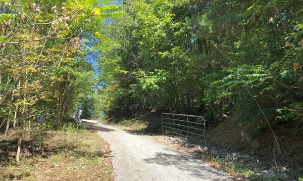 a view of outdoor space and yard