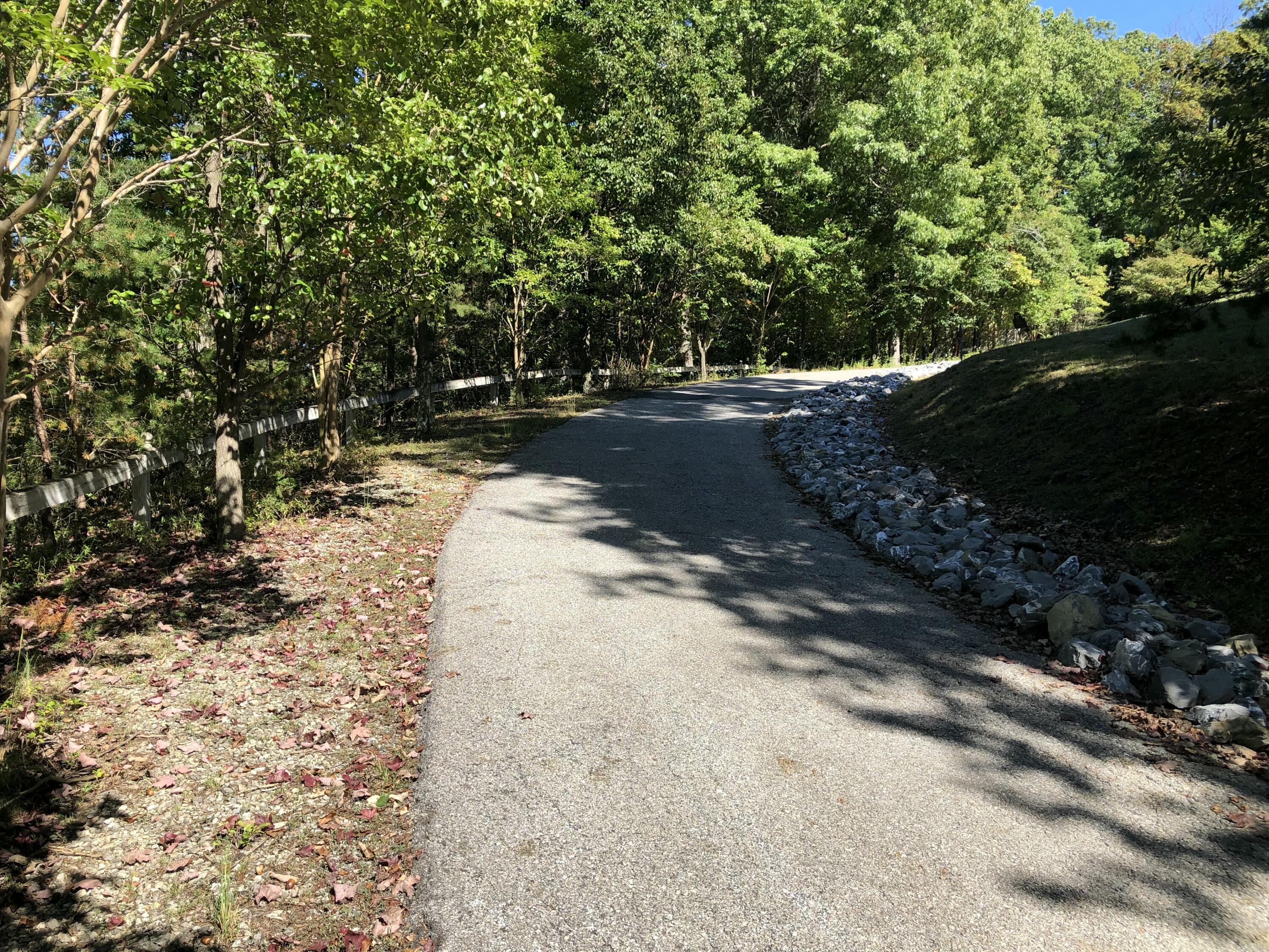 3287 Green Ridge Road Roanoke, VA 24019 - Photo 6 of 17 a view of outdoor space with yard