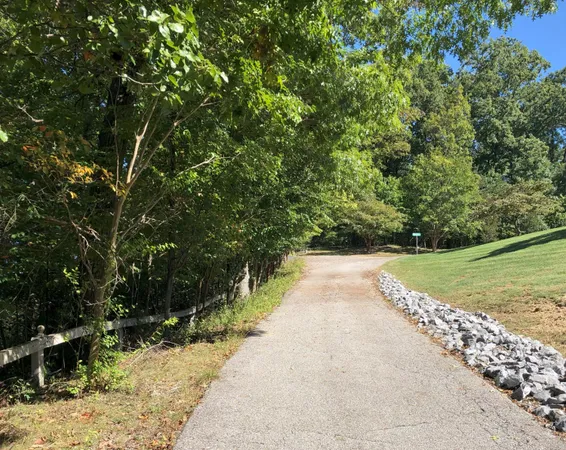 a view of a pathway of a park