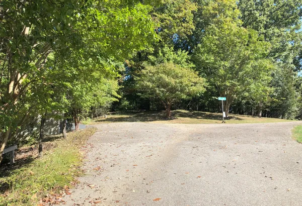 a view of a yard with trees