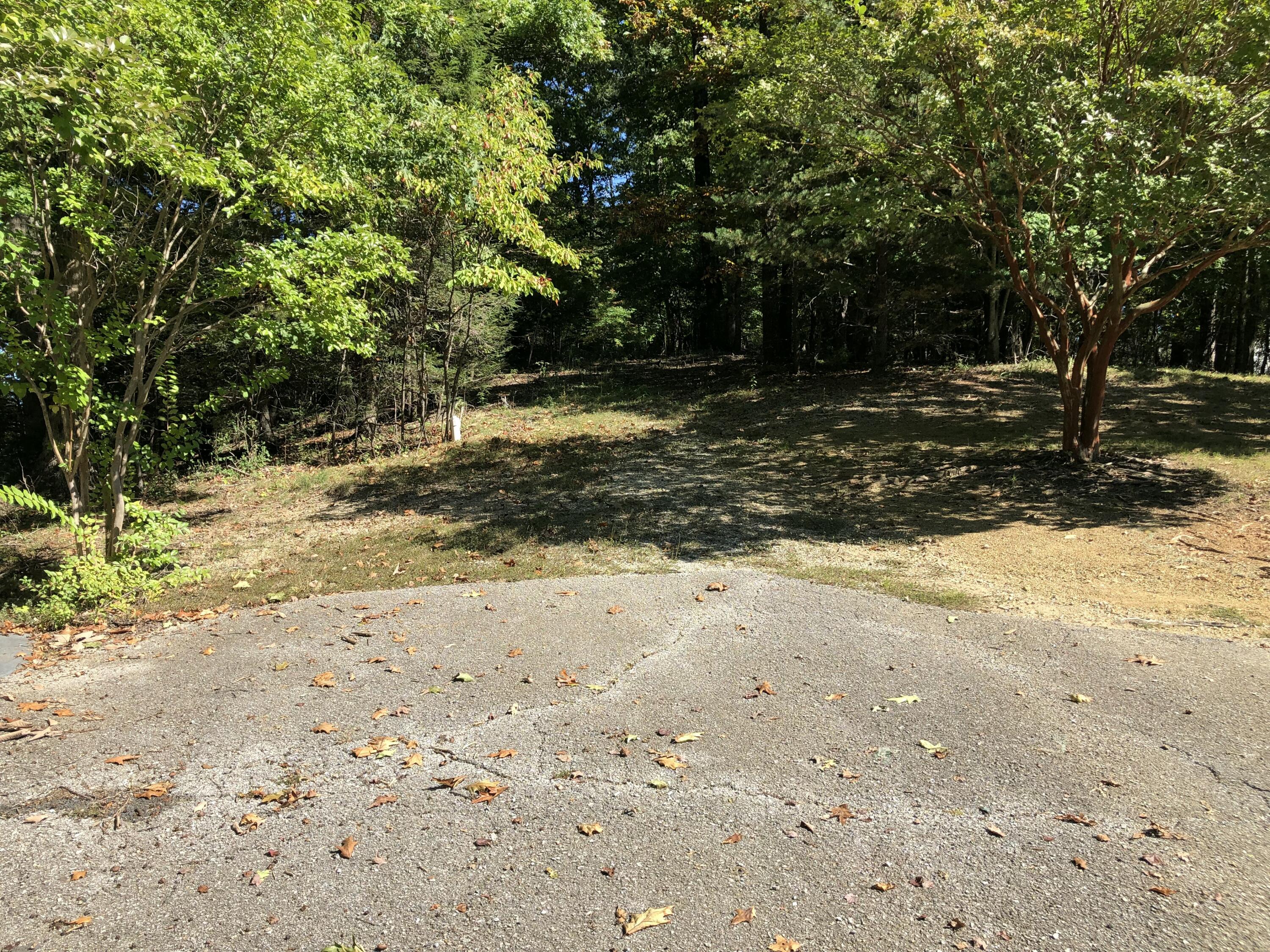 3287 Green Ridge Road Roanoke, VA 24019 - Photo 9 of 17 a view of dirt yard with a large tree