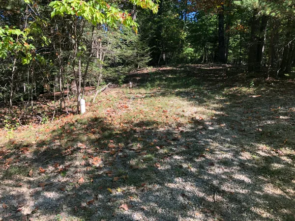 a view of backyard with green space