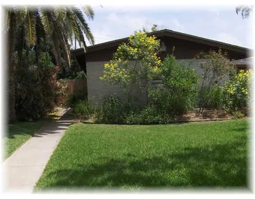 a view of a back yard
