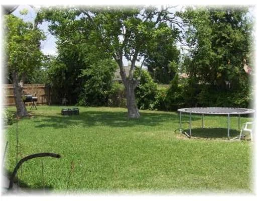 a view of a garden with a lake