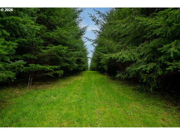 an aerial view of residential house with outdoor space and trees all around