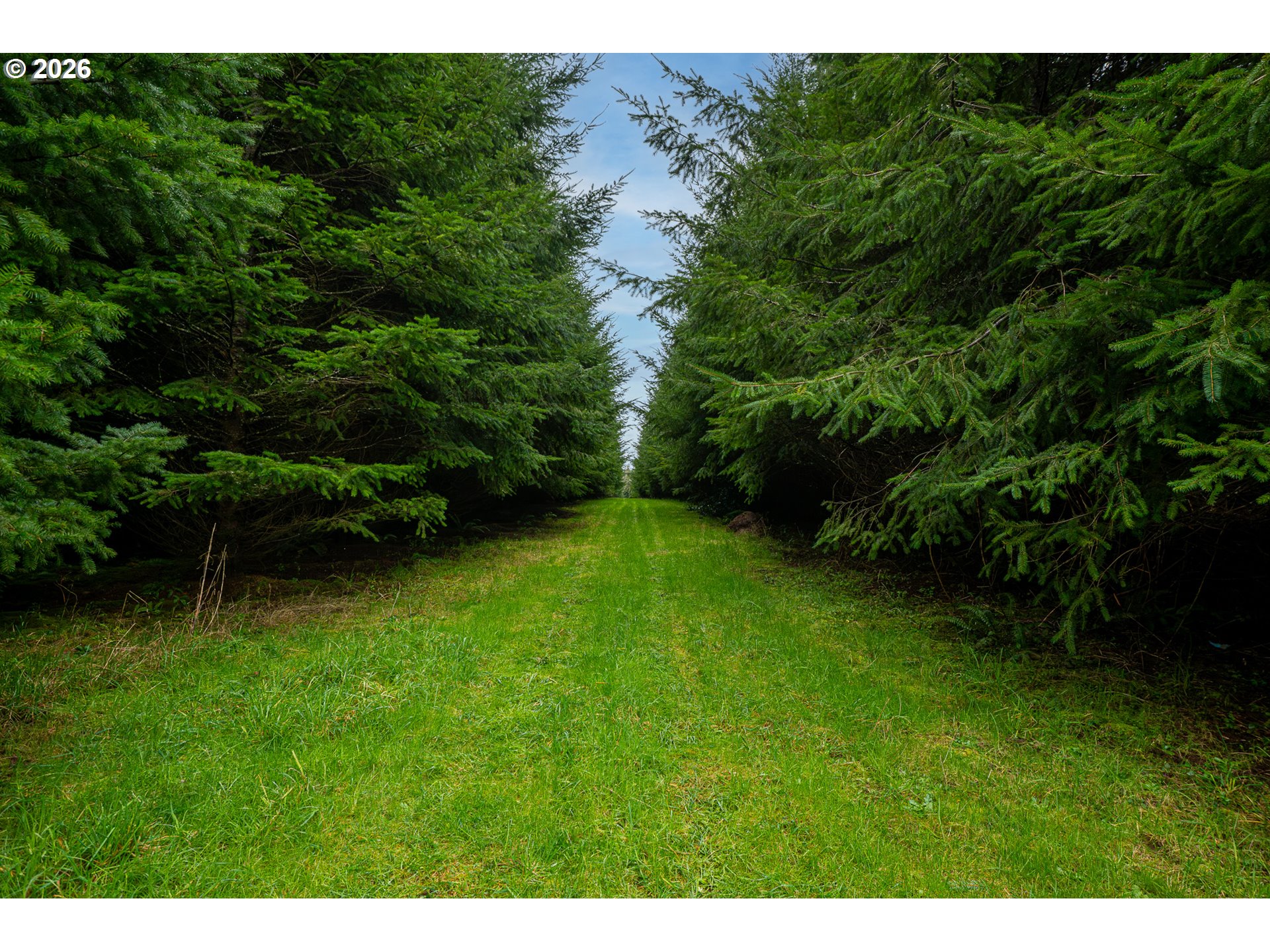 76382 Delena Mayger Road Rainier, OR 97048 - Photo 13 of 36 a view of a backyard