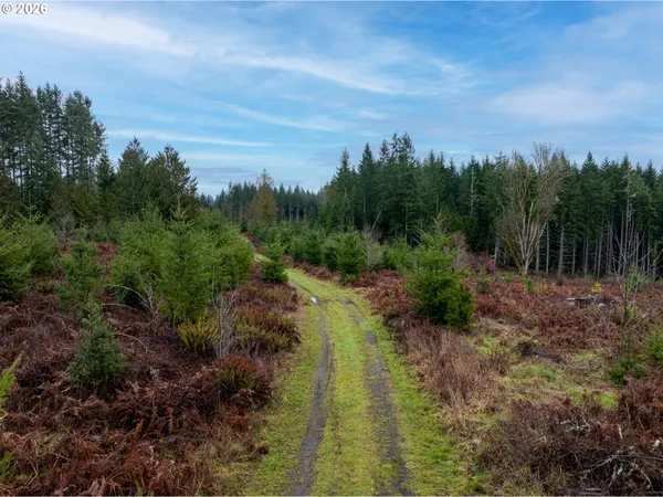 a view of a garden with trees in front of it