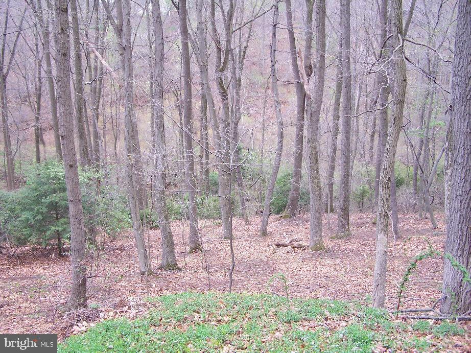 536 Scotland Road Quarryville, PA 17566 - Photo 2 of 11