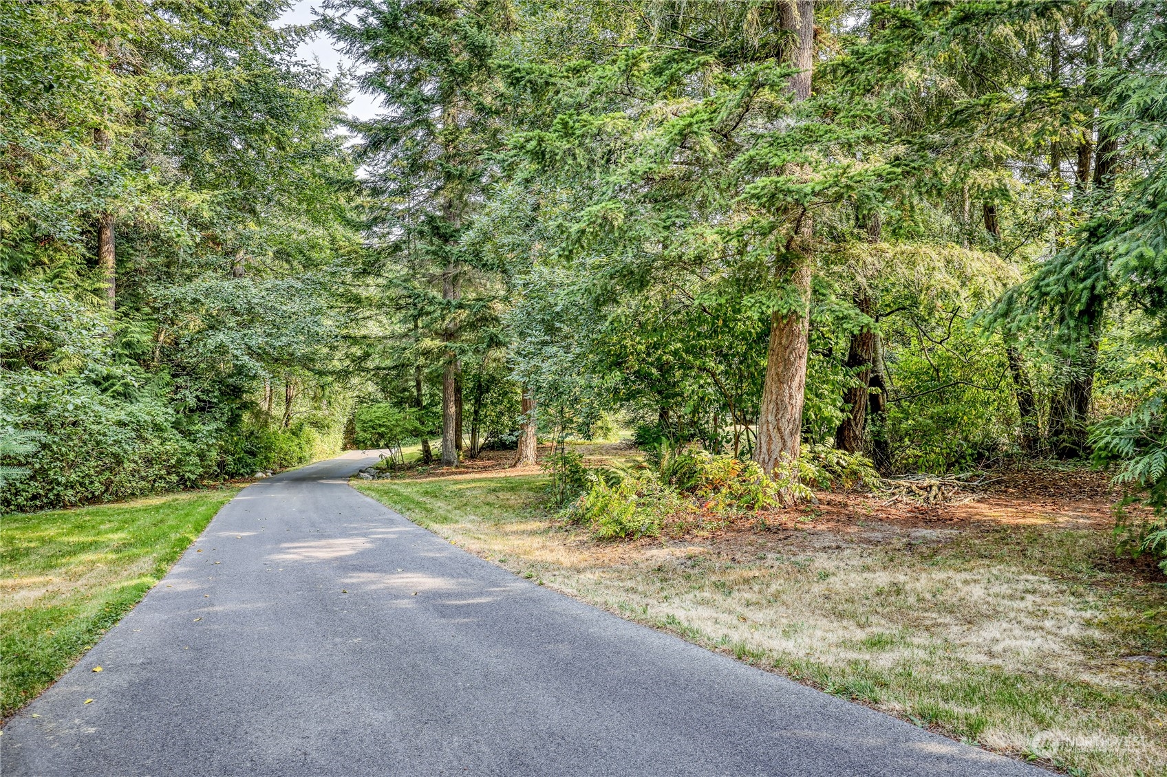 5701 Northeast Gunderson Road Poulsbo, WA 98370 - Photo 2 of 40 a view of a yard with plants and trees