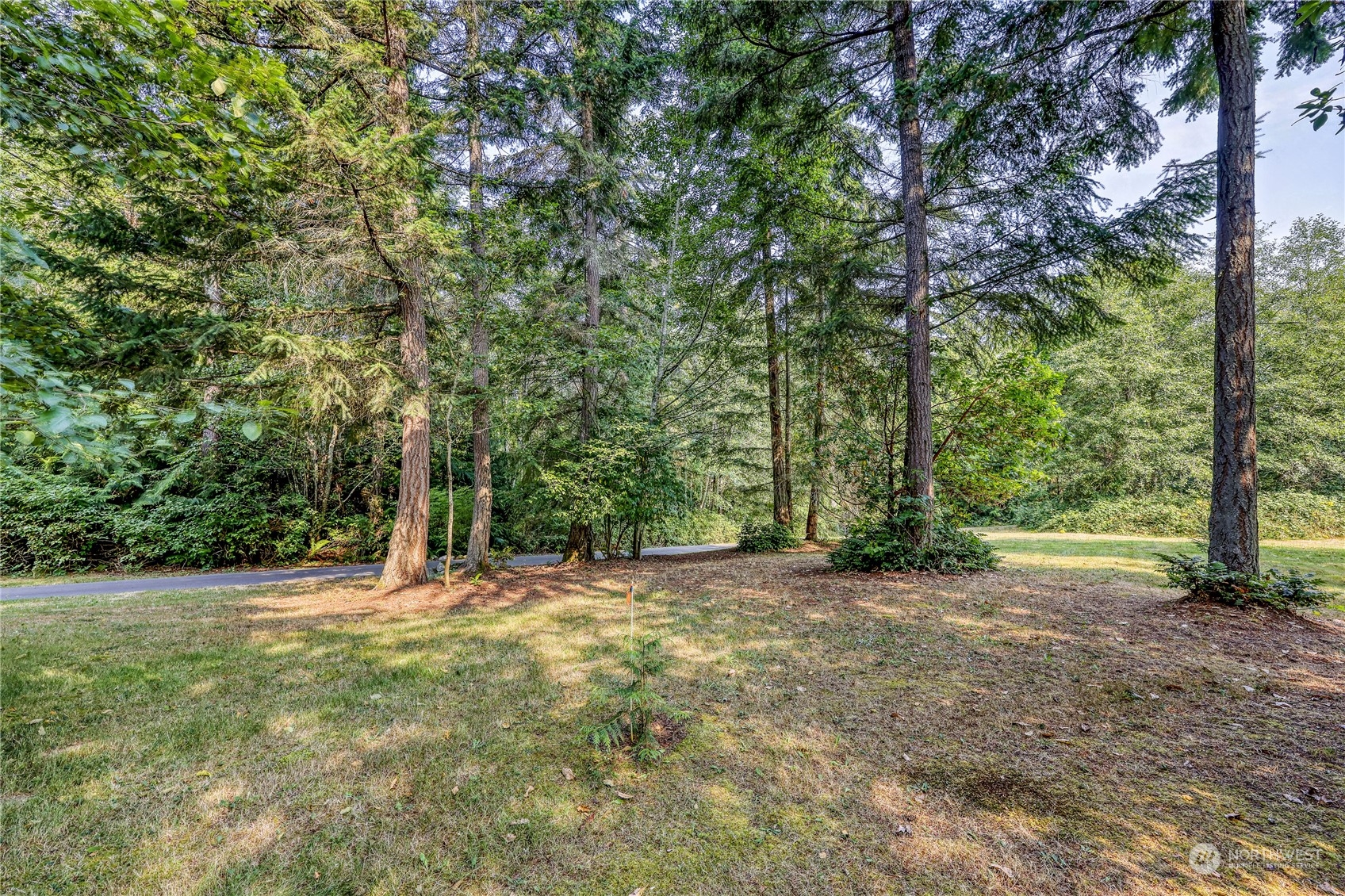 5701 Northeast Gunderson Road Poulsbo, WA 98370 - Photo 35 of 40 a view of outdoor space with trees