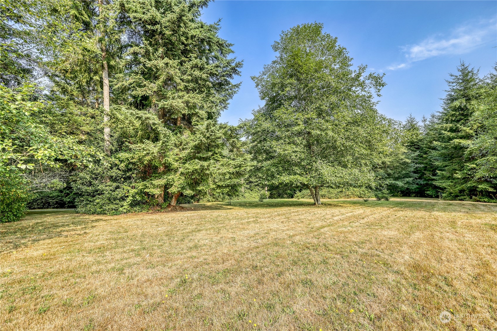 5701 Northeast Gunderson Road Poulsbo, WA 98370 - Photo 37 of 40 a view of a yard with a plant