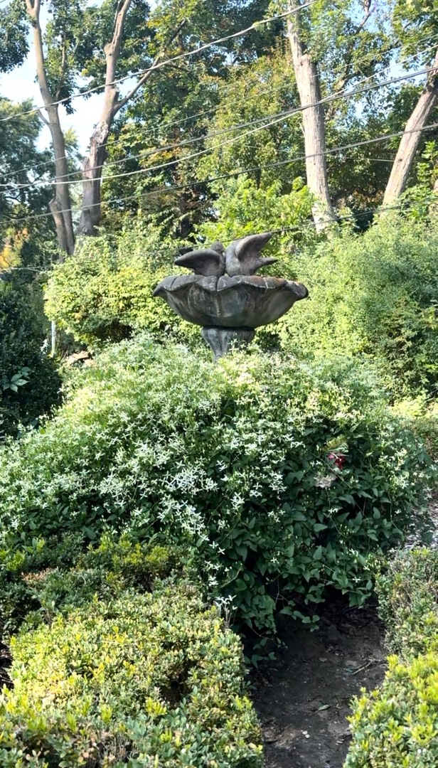 640 Anderson Boulevard Geneva, IL 60134 - Photo 39 of 41 a view of a garden with a fountain